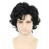 AcserGery 2025 Senaste Modell Herrperuker Svart Kort Lockig Lagerindelad Man Peruk Cosplay Halloween Karaktärskostym Peruk Svart> Peruker