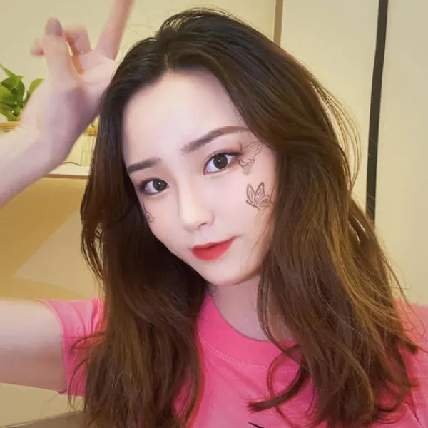 1 set ögonmakeup klar fjäril tätning fjäril tätning eyeliner hjälpverktyg akrylplatta bläckkudde mönster 3+4+bläckkudde> Smink