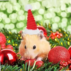 #2 st julhatt för katt kanin tomteluva tomteluva jul #><noscript><img width=