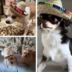 8 st Mini Sombrero Partyhattar Fiesta Party Dekorationer Festtillbehör Sombrero Kostymhattar för Bord, Dockor, Hundar - 5,9 Tum><noscript><img width=