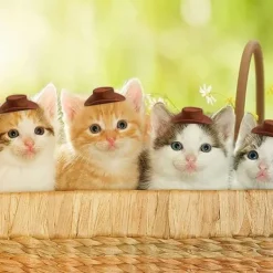 30 st Mini WESTERN COWBOY cowboyhatt Mini cowboyhatt i plast><noscript><img width=