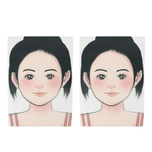 2 st smink ansiktsmålning övningstavla tvättbar återanvändbar ansiktsmålning övningstavla för scen hem> Smink