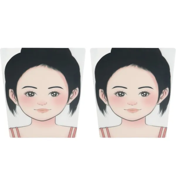 2 st smink ansiktsmålning övningstavla tvättbar återanvändbar ansiktsmålning övningstavla för scen hem> Smink