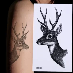 1 st Svart Vattentät Temporär Tatuering Klistermärke på Kropp Ben Vattenöverföring Sexig Spetsstrumpa Falsk Flash Tatuering för Flicka Kvinnor> Smink