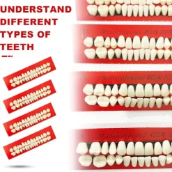 4 stycken Akrylharts Falska Tänder Tandprotes Falska Tänder Halloween Horror Tänder Halloween Makeup Cosplay Kostymfest Ornament Tillbehör (4 st)><noscript><img width=