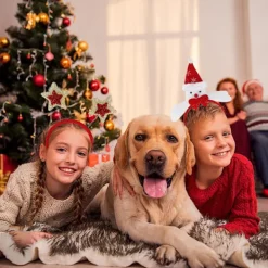 12 stycken juldiadem - Juldekorationer - Viktiga tillbehör för julfesten><noscript><img width=