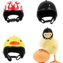 3 stycken kycklinghjälmar, fågelskyddshjälm, kycklinghjälmhatt, justerbar kycklinghuvudskydd för kyckling, för fjäderfähuvudskydd> Huvudbonader