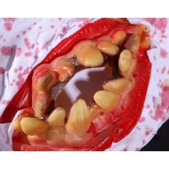 Blodiga tänder mask halloween skräck förklädnad halloween kostym><noscript><img width=