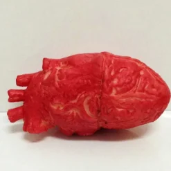 FMYSJ Falskt mänskligt hjärta Latex Livsstorlek Hjärta Blodiga skräckrekvisita för Halloween a (FMY)> Tillbehör