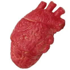 FMYSJ Falskt mänskligt hjärta Latex Livsstorlek Hjärta Blodiga skräckrekvisita för Halloween a (FMY)><noscript><img width=