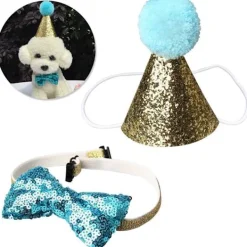 Födelsedagskottehatt för hund> Huvudbonader