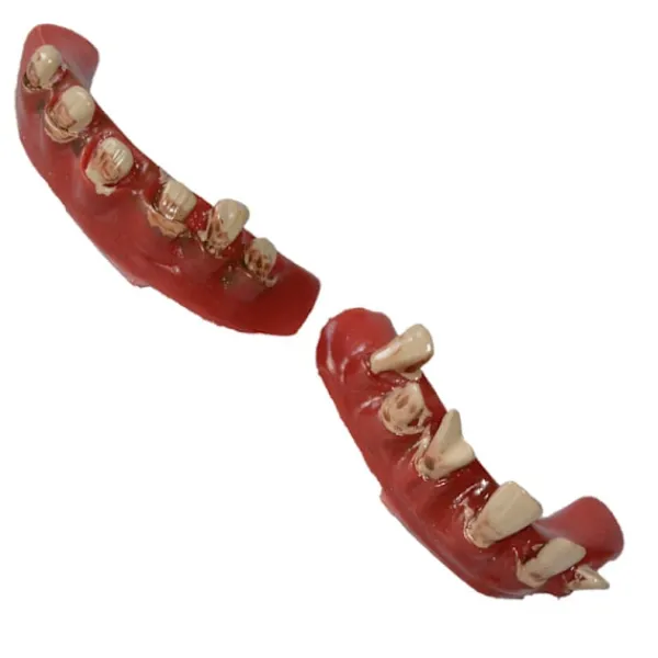 Halloween Dekorationer Proteser Visa Tricksprops Övre och Nedre Tänder> Tillbehör