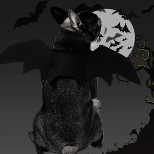 JIUSAIRUI Halloween kostym Pet Bat Wings Katt Hund Bat Costume Vingar small> Dräkter