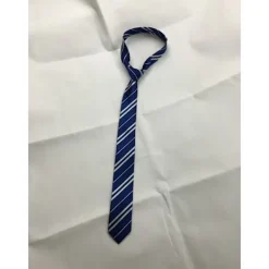 Harry Potter Randig Slips - Blå> Tillbehör