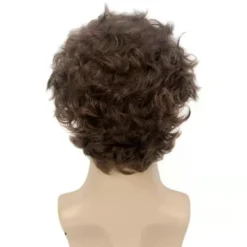 Herrmode Kort fluffigt lockigt hår Peruk Cosplay Party Syntetiska helperuker><noscript><img width=