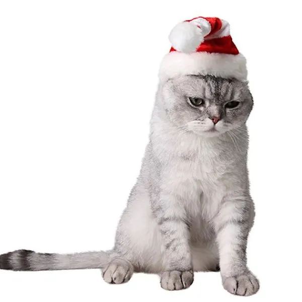 Hund Röd Och Vit Randig Mössa Husdjur Jul Artiklar Semester Mössa> Huvudbonader