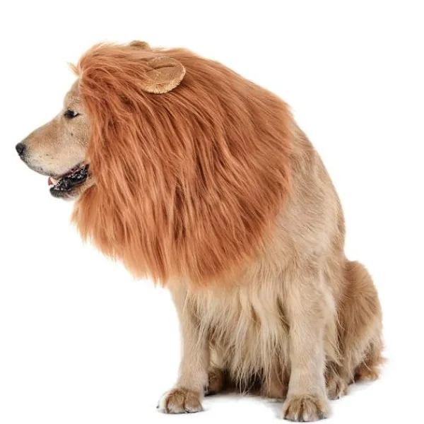 Hundar, Lejonman Peruker, Rolig Maskeradkostym för Små, Medelstora,> Huvudbonader