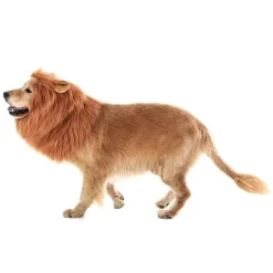 Hundar, Lejonman Peruker, Rolig Maskeradkostym för Små, Medelstora,><noscript><img width=