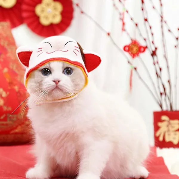 Husdjurskostym, hatt, nyår, jul, huvudbonad, söta katthattar, festtillbehör, fotorekvisita, lämplig för katter och valpar (hy)> Huvudbonader
