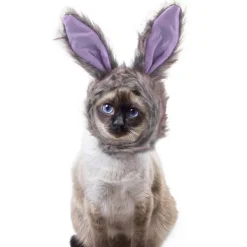 INF Huvudbonad för husdjur - Söt dräkt för katter och små hundar Model 5> Huvudbonader