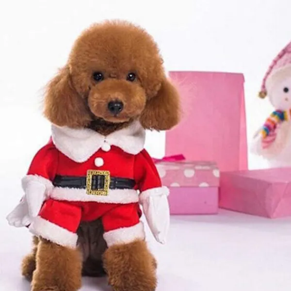 GGNO Juldräkt för hundar, Santa Claus-dräkt med kappa> Dräkter