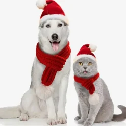 Julhatt, halsduk och kostym för husdjur, katter och hundar, M, festlig><noscript><img width=