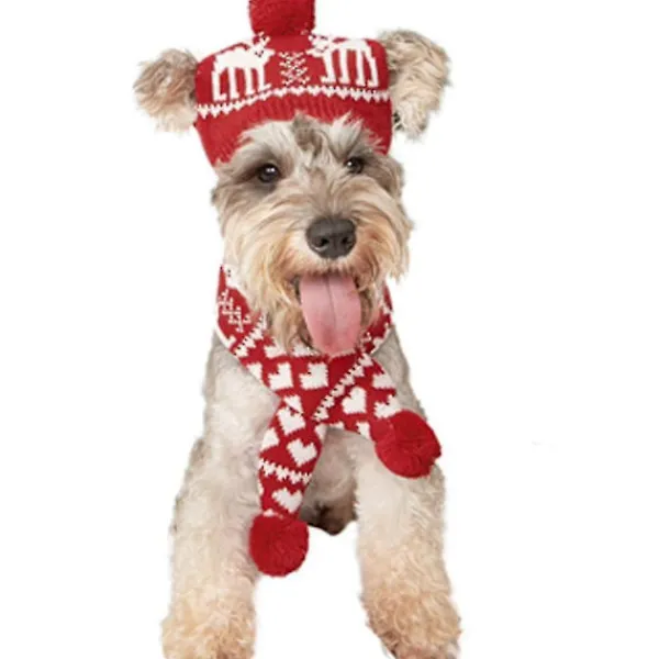 Julhundkostym Mössa Och Stickad Halsduk - Söt Husdjurskostym Tillbehör Varma Vinterkläder För Katt> Tillbehör