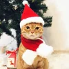 Jultomtehatt med Halsduk för Katt - Juldräktset för Valp Hund Ca,ZQKLA> Tillbehör