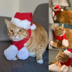 Katt tomteluva med halsduk, juldräkt set valp hund katt tomteluva><noscript><img width=