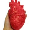 Latex Livsstorlek Falskt Mänskligt Hjärta Blodig Halloweenrekvisita> Tillbehör