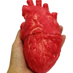 Latex Livsstorlek Falskt Mänskligt Hjärta Blodig Halloweenrekvisita> Tillbehör