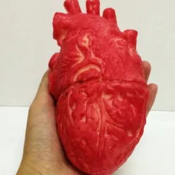 Latex Livsstorlek Falskt Mänskligt Hjärta Blodig Halloweenrekvisita><noscript><img width=