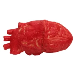 Latex Livsstorlek Falskt Mänskligt Hjärta Blodig Halloweenrekvisita><noscript><img width=