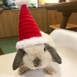 Lizard Tomte Hatt Kanin Withscarf Juldräkt 01 01 01> Huvudbonader