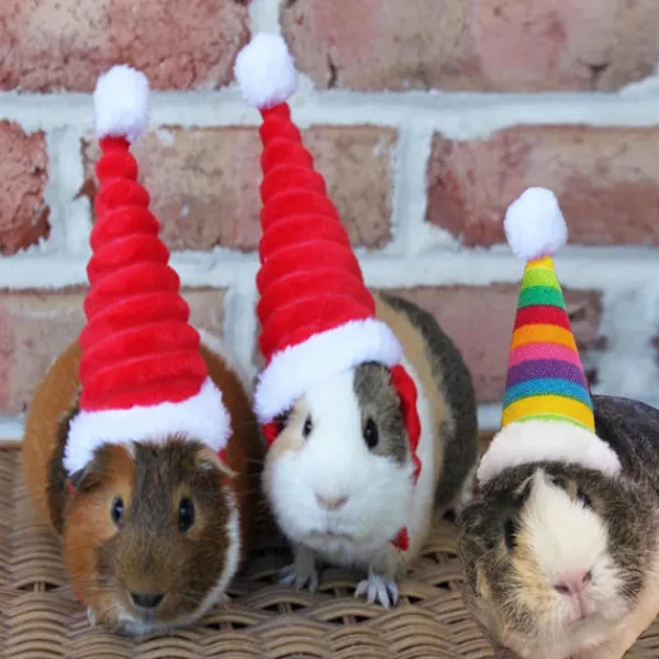 Lizard Tomte Hatt Kanin Withscarf Juldräkt 01 01 01> Huvudbonader