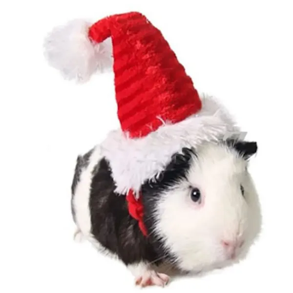 Lizard Tomte Hatt Kanin Withscarf Juldräkt 01 01 01> Huvudbonader