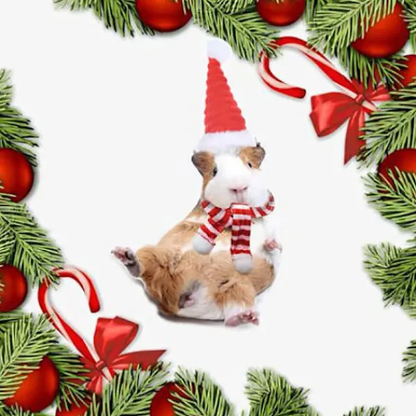 Lizard Tomte Hatt Kanin Withscarf Juldräkt 01 01 01> Huvudbonader