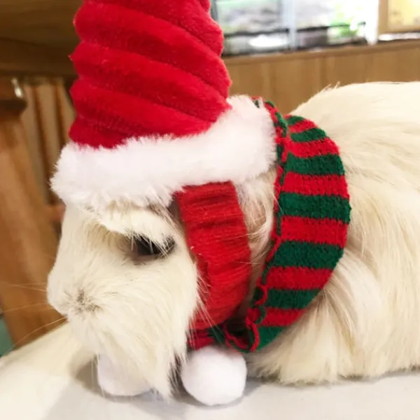 Lizard Tomte Hatt Kanin Withscarf Juldräkt 01 01 01> Huvudbonader