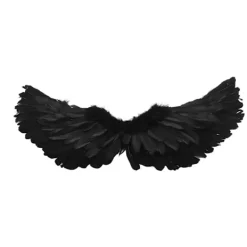 Ängelvingar Kostym Konst Scen Halloween Cosplay Vingar Halo Pannband Set för Barn Vuxna Mellan><noscript><img width=