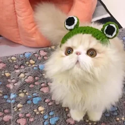 OrangeM Passar för hundmössa Rolig hatt Rolig hatt Cartoon Groda Form Mössa Grön Färg All-Match><noscript><img width=