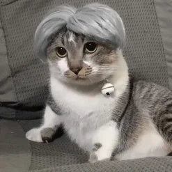 WAIDFU Peruk för husdjur Cosplay Rekvisita Roliga Hundar Katter Kors> Peruker