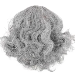 Professor Peruk Äldre Peruk Syntetisk Lockig Peruk Rolig Peruk Gammal Man Flintskallig Peruk för Cosplay> Peruker