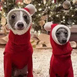 Rolig Halloween Hundhuvudbonad Rolig Huvudbonad för Husdjur Hundhuvudbonad, Lämplig för Thanksgiving Julpartyn><noscript><img width=