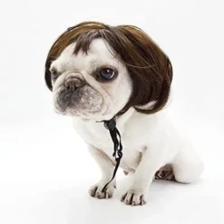 Rolig Hund Cosplay Peruk, Huvudbonad Kläder Leksak, Husdjursdräkter, Katt DXGHC><noscript><img width=