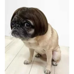 Rolig Hund Cosplay Peruk, Huvudbonad Kläder Leksak, Husdjursdräkter, Katt DXGHC><noscript><img width=