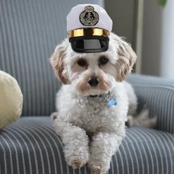 Rolig Husdjurshatt Söt Huvudbonad Fint Huvudbonad Kostymtillbehör Fotorekvisita För Katt Hund Valp (capta><noscript><img width=