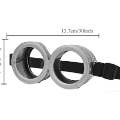 Silver Minion Glasögon Maskerad Rekvisita Halloween Kostym Rekvisita> Tillbehör