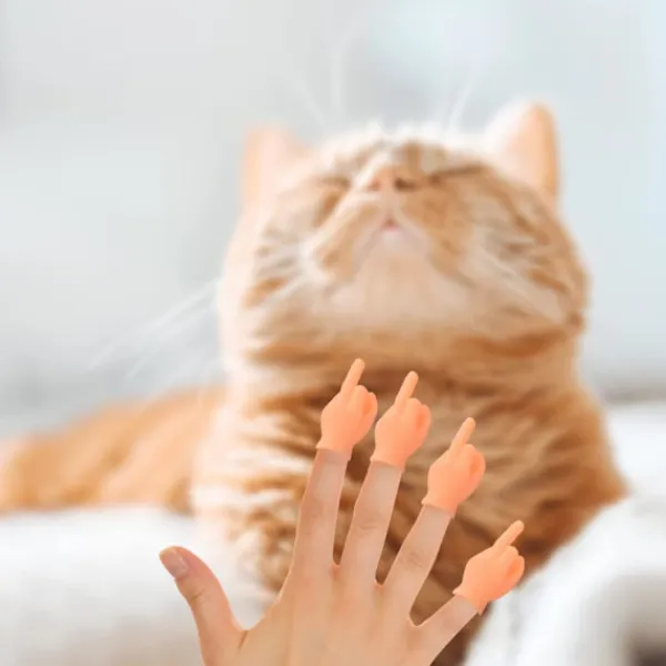 Små Händer för Fingrar - 10 st Söta Mini Handdockor (Långfingret) Premium Gummi> Tillbehör