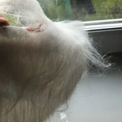 2ST Fake Beard Långt Fluff Skägg GRÅT><noscript><img width=