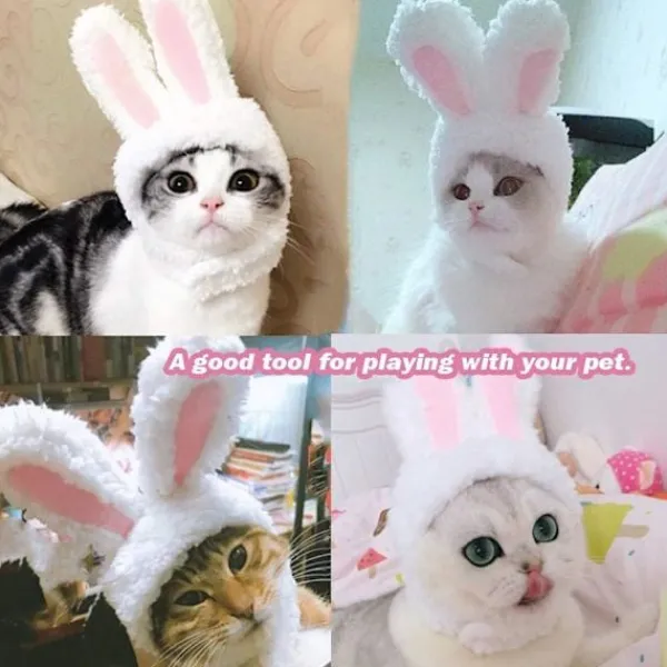 Söt kattkaninhatt, söt katthattkostym, husdjursklänninghatt> Huvudbonader